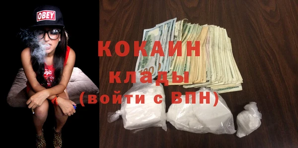 твердый Алексин