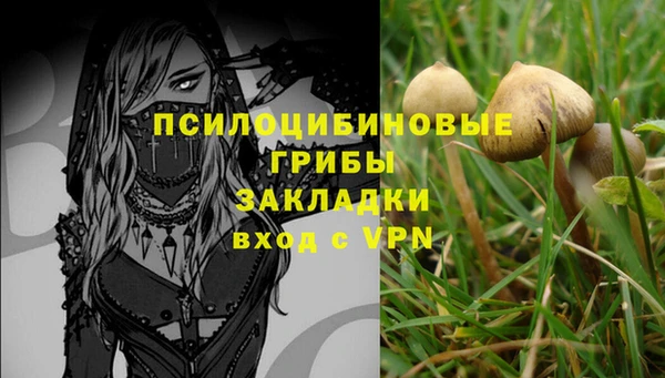 герыч Алексеевка