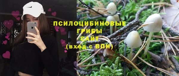 твердый Алексин