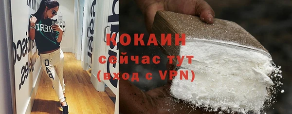 твердый Алексин