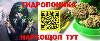 шишки Тулун