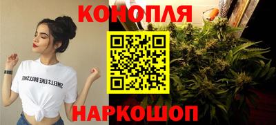 хмурый Тула
