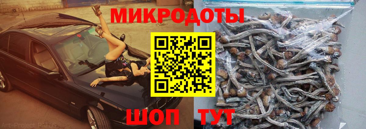 купить наркоту  Вход с VPN  Конаково  Псилоцибиновые грибы Psilocybe  Псилоцибиновые грибы Psilocybe 