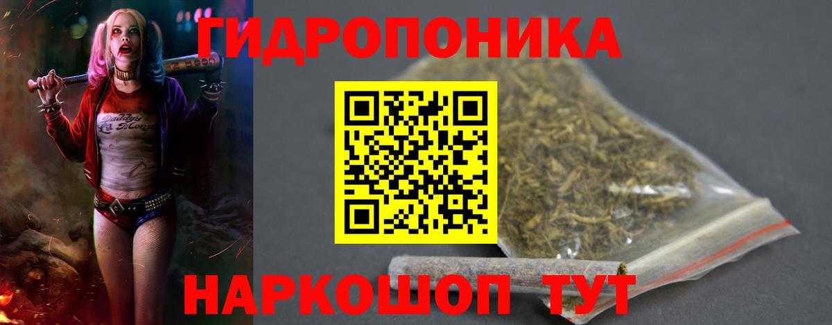 Канабис MAZAR  Вход с VPN  Конаково  Бошки марихуана план 