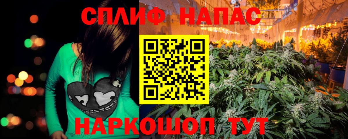 Каннабис индика Конаково